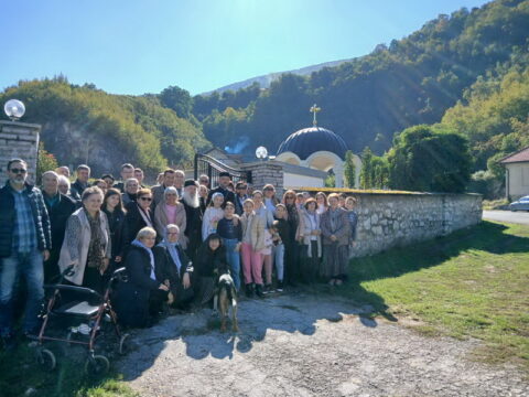 1000008262_resize