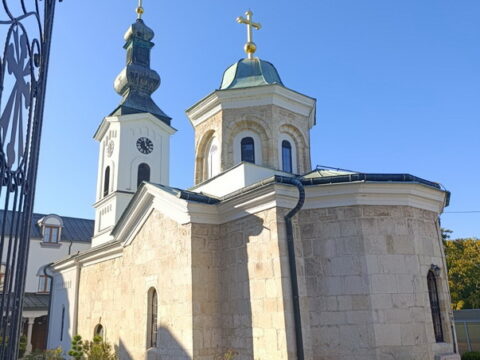 1000008265_resize