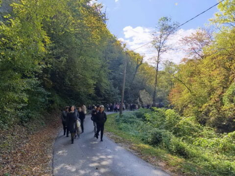1000008266_resize