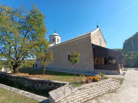 1000008267_resize