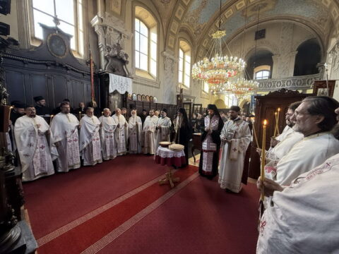 1000016481_resize
