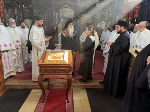 1000016483_resize
