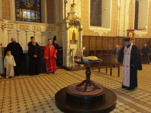 3ffb0b23-d4d9-401b-b4a8-fef31880d84d_resize_resize