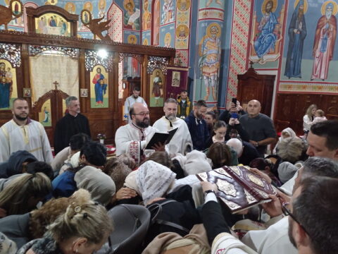 IMG_20251025_192833_resize