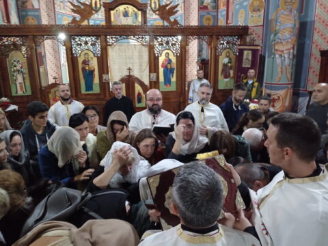 IMG_20251025_192854_resize