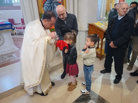 IMG_20251027_095628622_HDR_resize