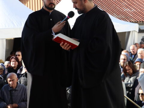 IMG_2539_resize