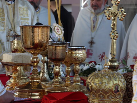 IMG_2604_resize