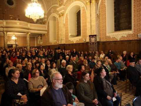 IMG_9403_resize_resize