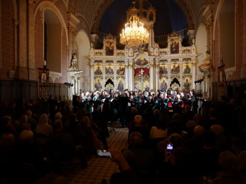 IMG_9420_resize_resize