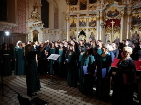 IMG_9492_resize_resize