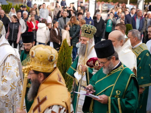 img-1436103_resize