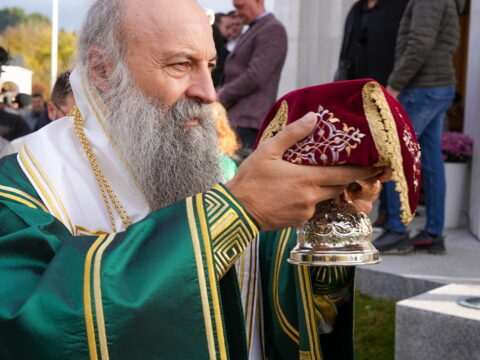 img-3136987_resize
