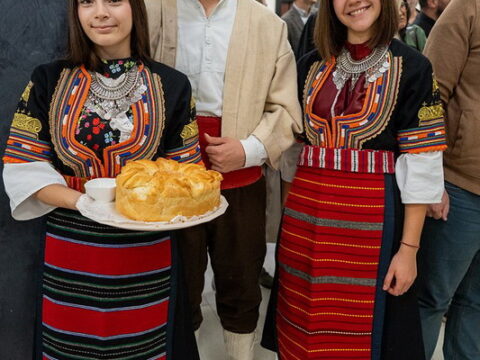 img-4555106_resize