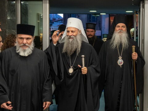 img-5408561_resize