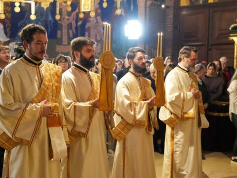 img-6324082_resize