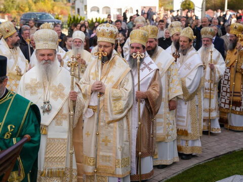 img-7581336_resize