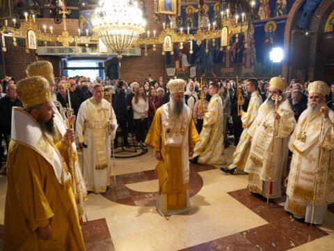 img-7775431_resize