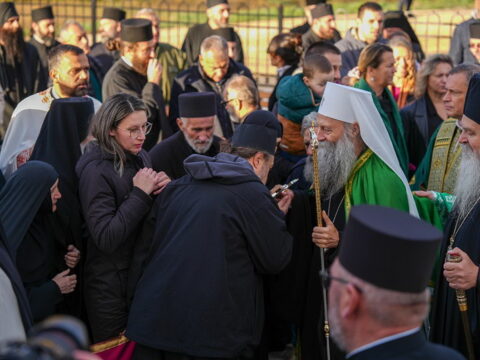 img-9746285_resize