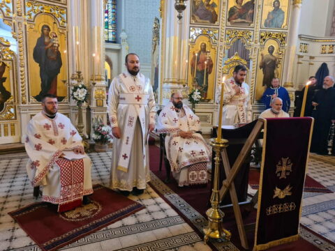 0499692e-dc00-48fc-8116-57c223b6a8df_resize