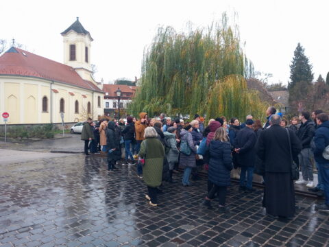 1000020911_resize_resize