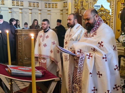 298d9729-d63f-43bd-a2a6-c06f60302d7d_resize