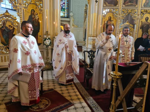 53d0e9de-0353-4deb-9481-2cd36f02788b_resize