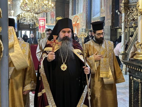 6925abb5cb69068afd1085f9_IMG_5534_result_resize