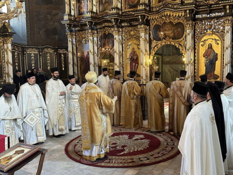 6925abb676c75c98f44edeef_IMG_5557_result_resize