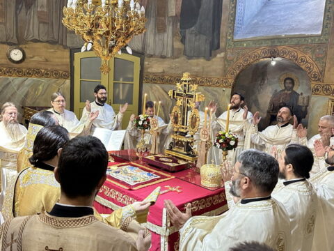 6925abb7d4fb09499e9857c8_IMG_5620_result_resize