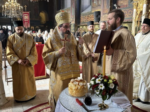 6925abb9286e27cc523ad2b9_IMG_5667_result_resize