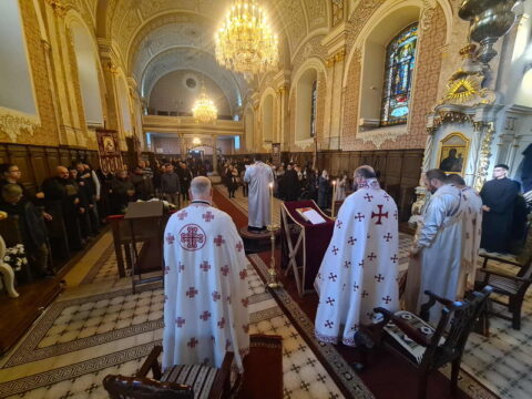 781771e8-1ee8-48f4-8df8-e41bf48ee4fd_resize