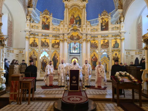 97164974-c80e-4e68-97bb-ccd2029f0bf8_resize