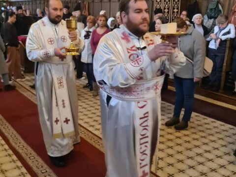 9cc42403-fa3a-411e-810d-d4e7fcb9bad3_resize