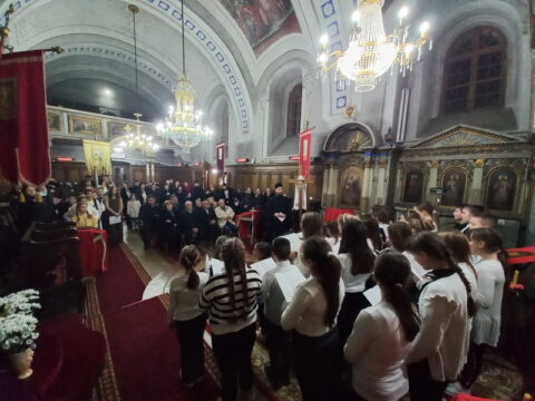 IMG-da0dfb62fff96f394a76a5781717b373-V_resize