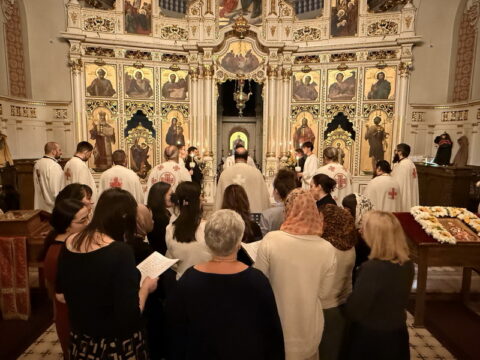 Photo 25. 11. 2025., 21 44 24_resize_resize