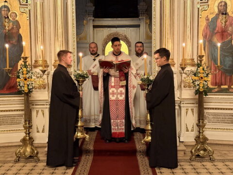 Photo 25. 11. 2025., 23 45 09_resize_resize