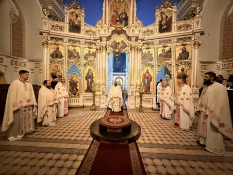 Photo 26. 11. 2025., 01 53 51_resize_resize