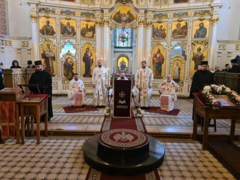 b4187e05-2066-4a82-a61a-9ab1bb82c2da_resize