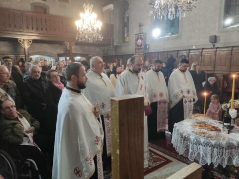 faf9efa5-84e4-4077-a934-41d94246f6fa_resize