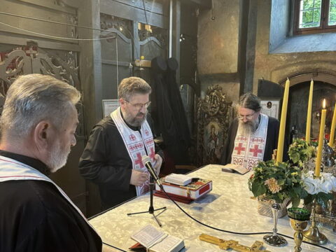 1751931538462_resize