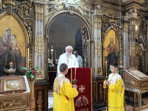 1752834786023_resize