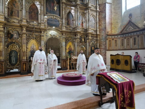 1752834786042_resize