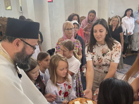 1754135636872_resize