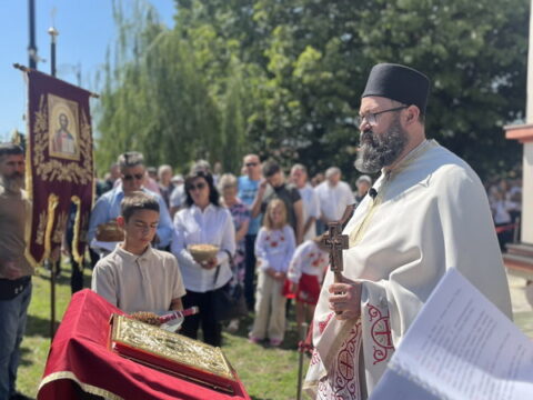 1754135636874_resize