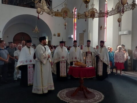 1754260742437_resize