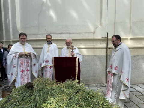 20250529_155823_resize