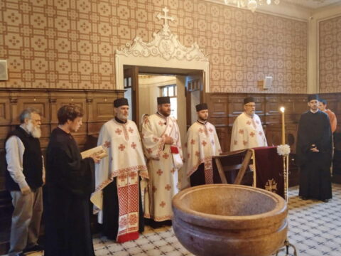 44cee8b9-801d-4804-8248-e97442236185_resize