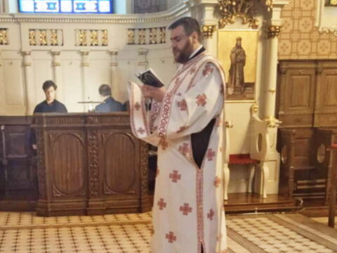 51dc6ad6-2636-4025-861e-5f339036a565_resize