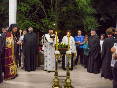 73281 (2)_resize_resize